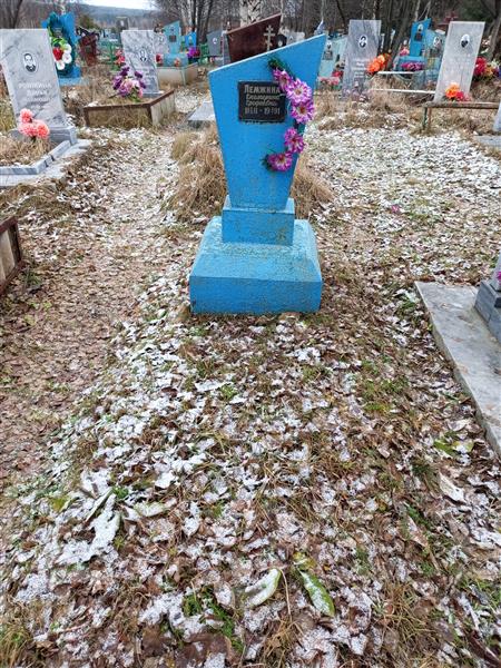 Лемжина Екатерина Ерофеевна