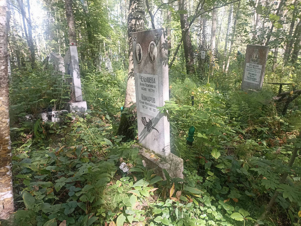 Челышева Анна Осиповна