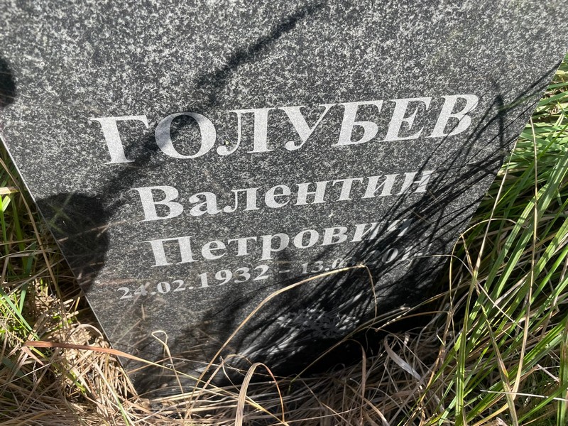 Голубев