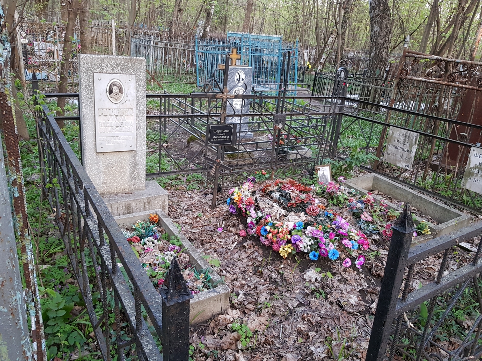 Романов Алла Васильевна