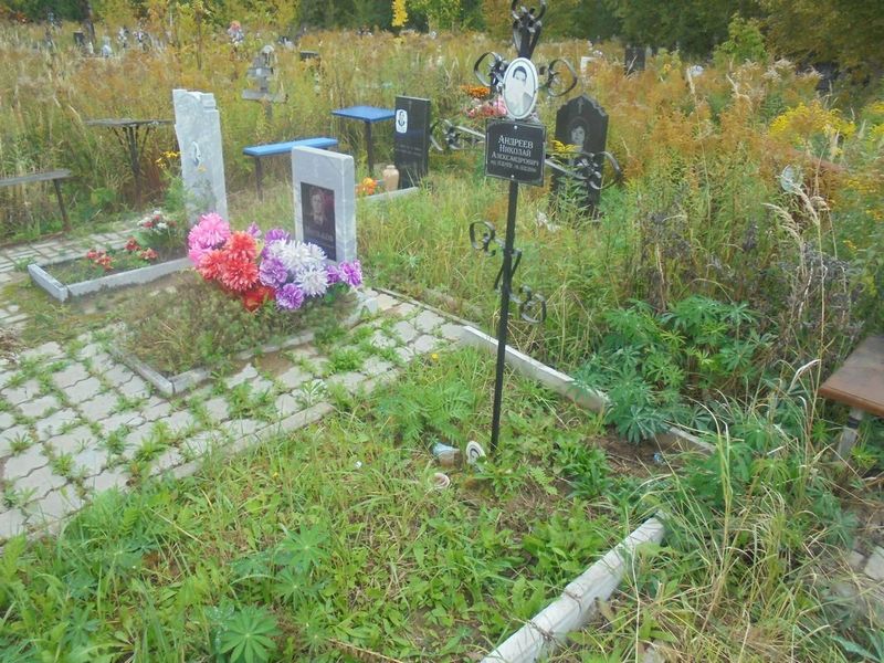 Андреев Николай Александрович