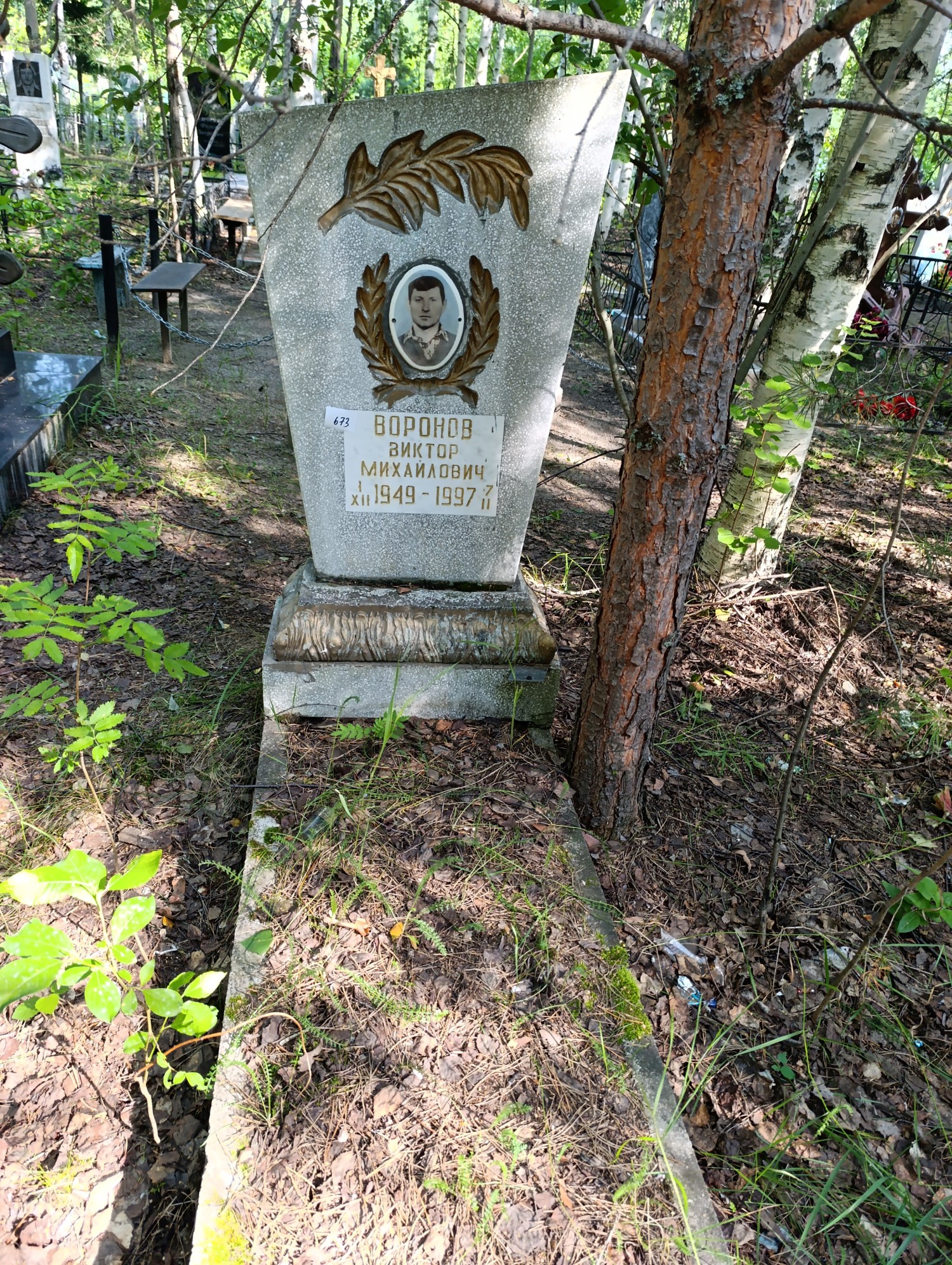 Воронов Виктор Михайлович