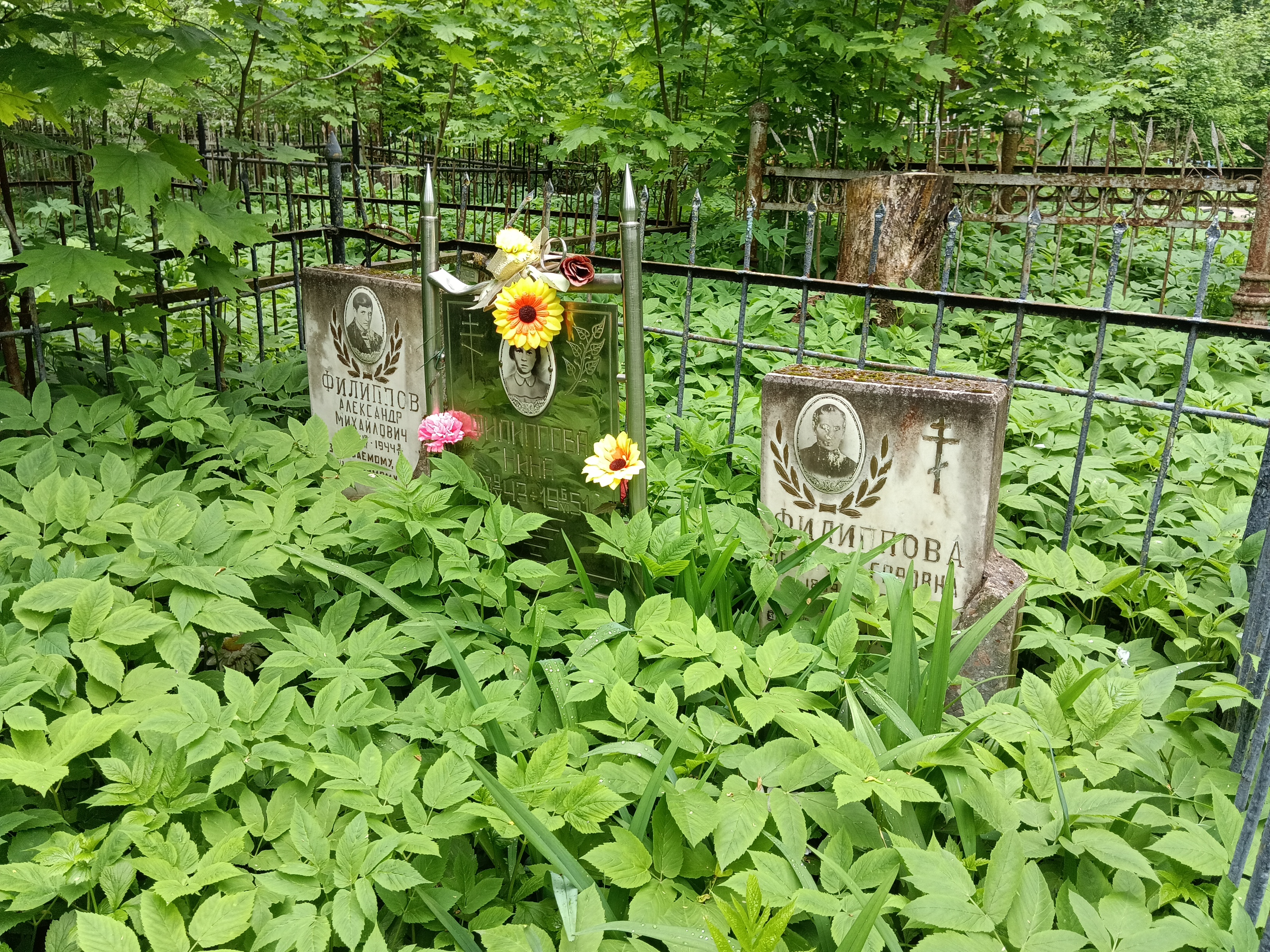 Филиппова Нина