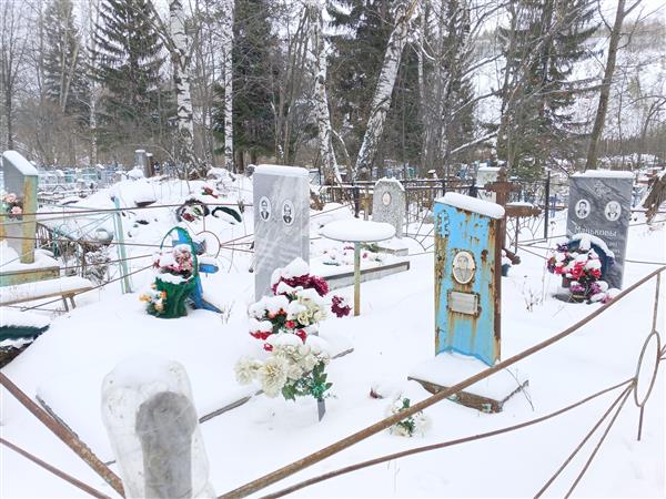 Шубина Валентина Михайловна