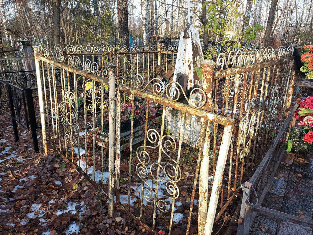 Алексеев Анатолий Моисеевич