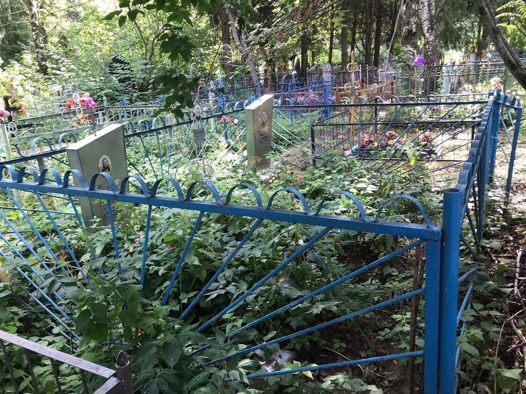 Печуркина Наталья Павловна