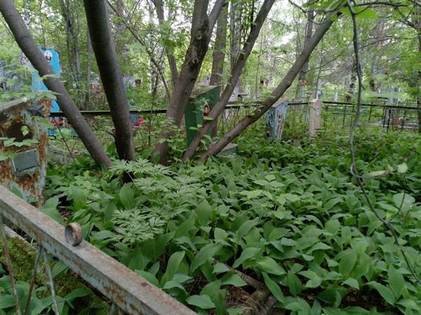 Терешков Вячеслав Федорович
