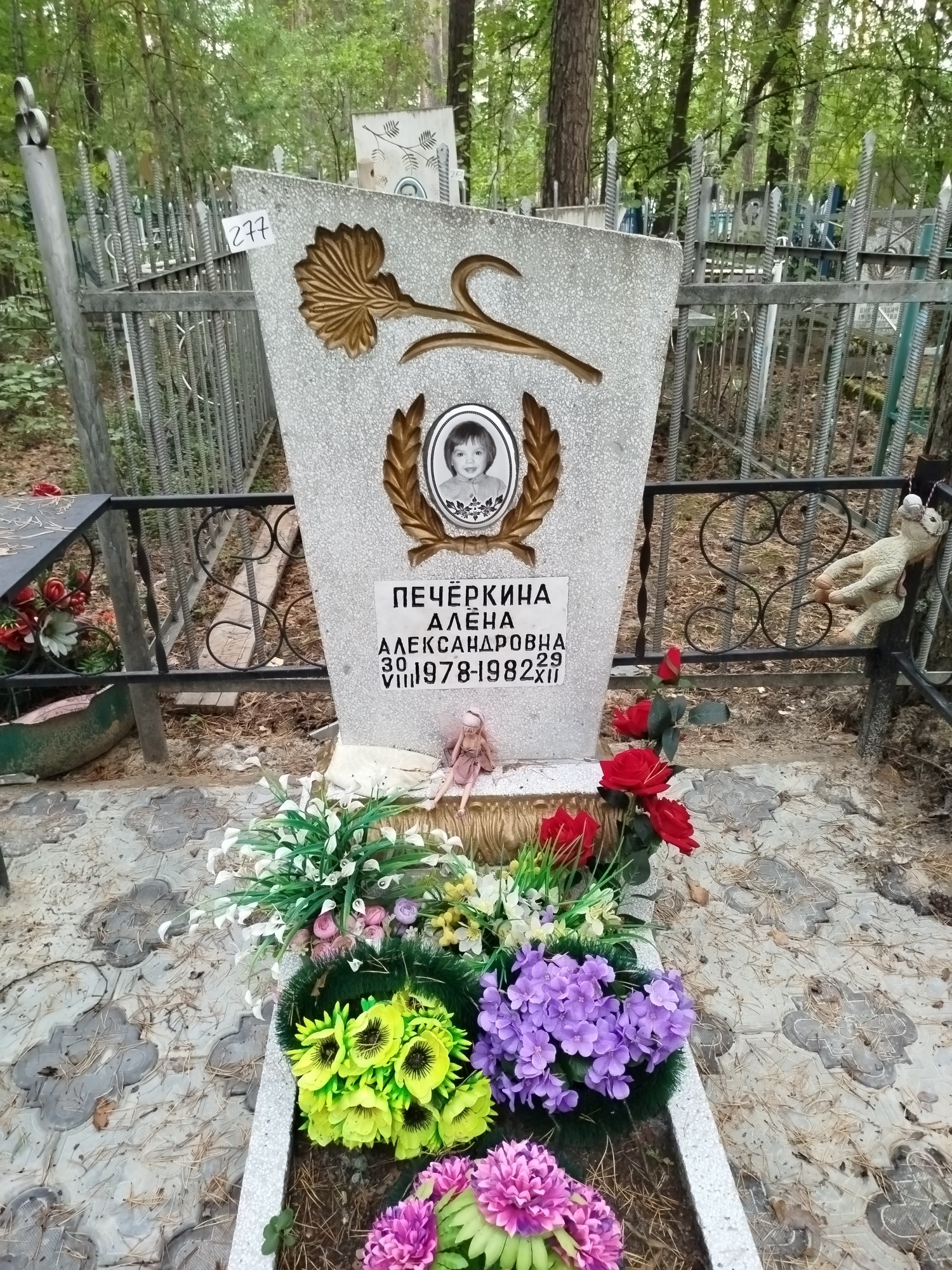 Печёркина Алёна Александровна