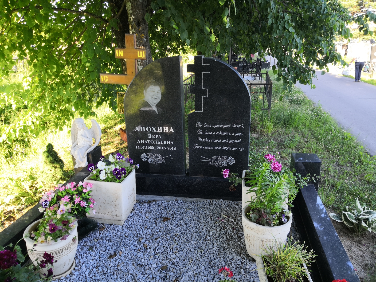 Анохина Вера Анатольевна