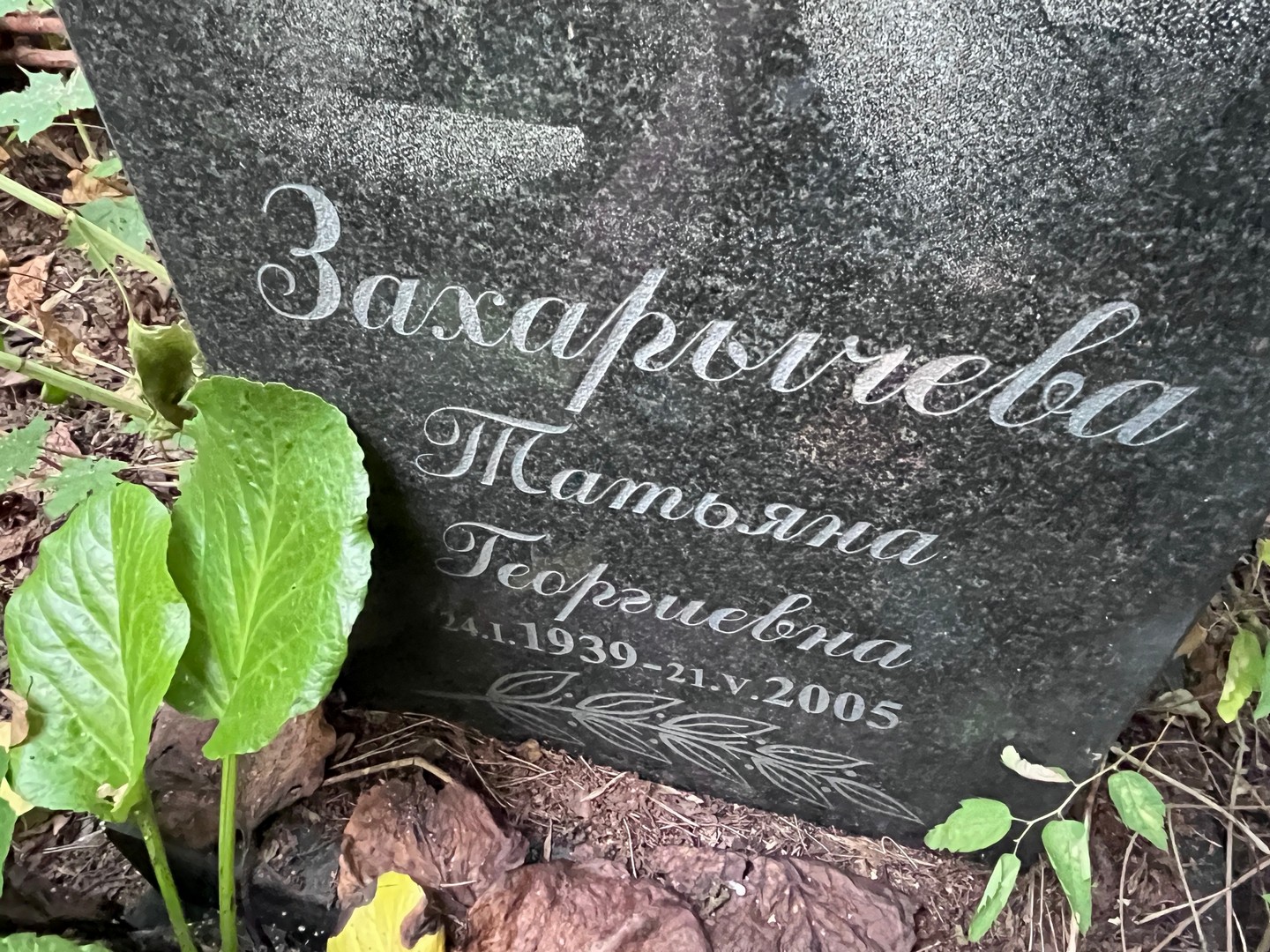 Захаричева