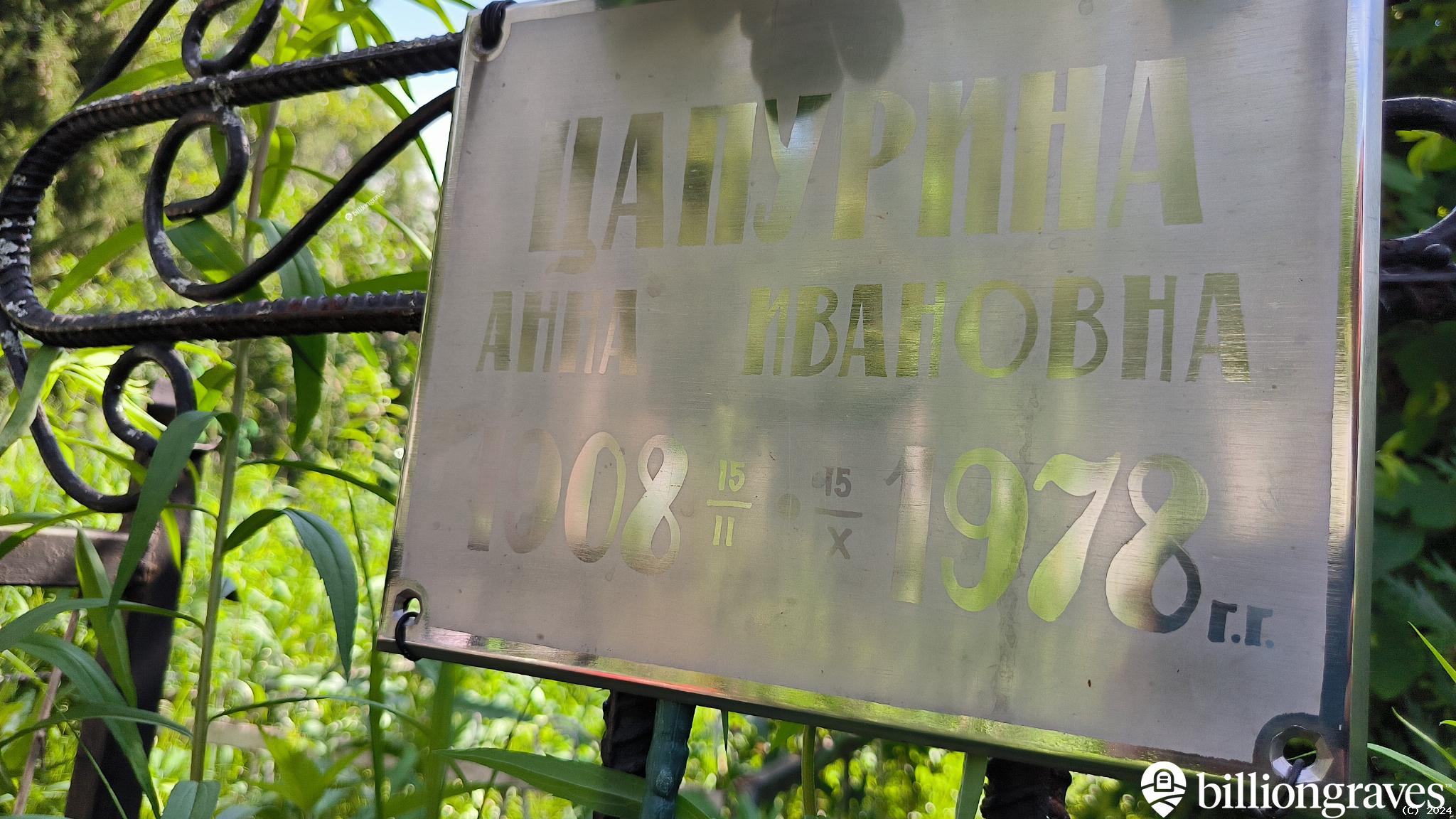 Цапурина Анна Ивановна