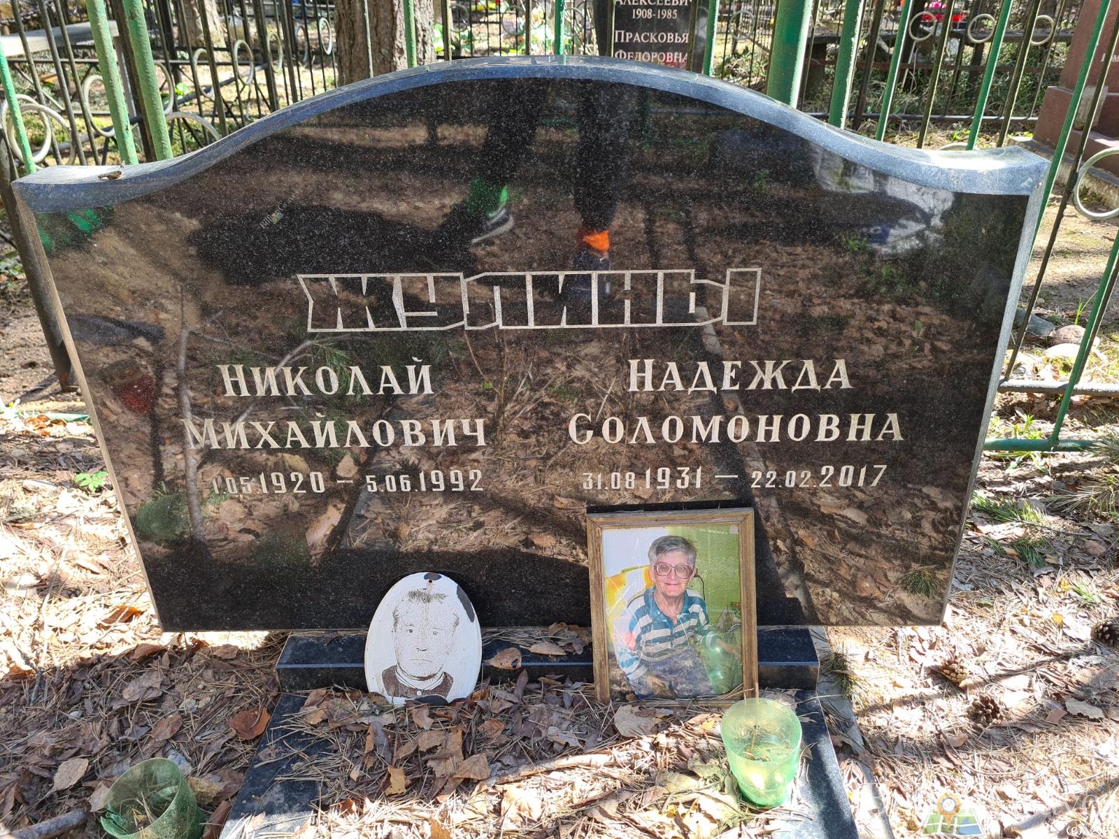 Жулин Николай Михайлович