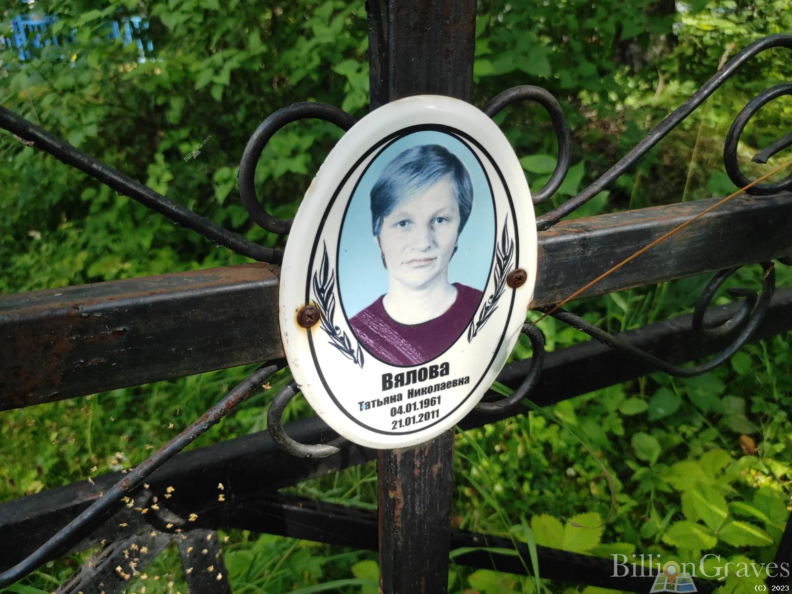 Вялова Татьяна Николаевна