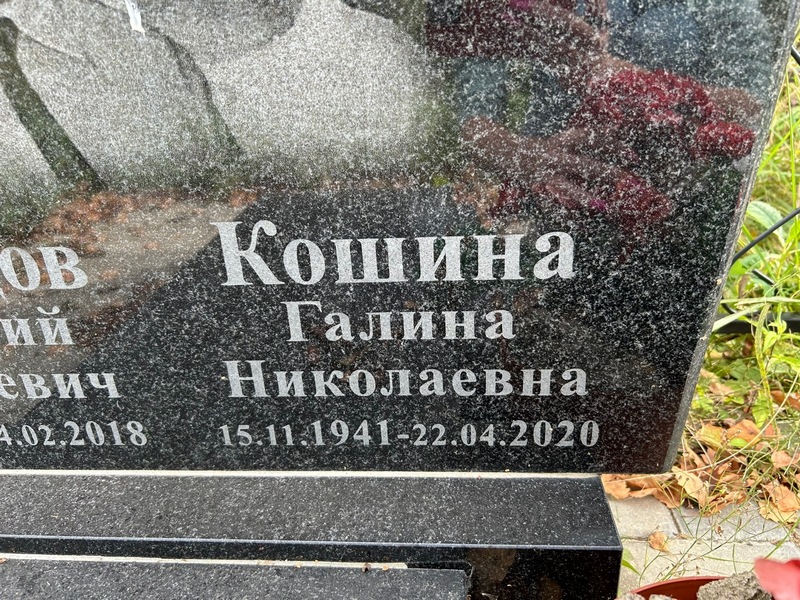 Кошина
