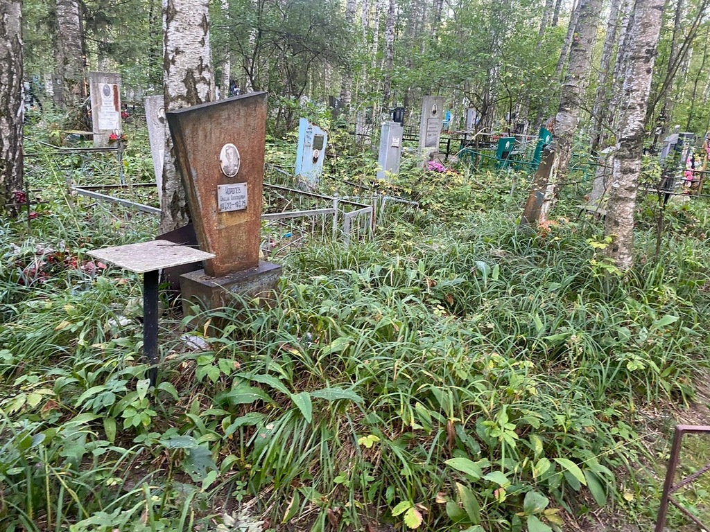 Королев Аркадий Александрович