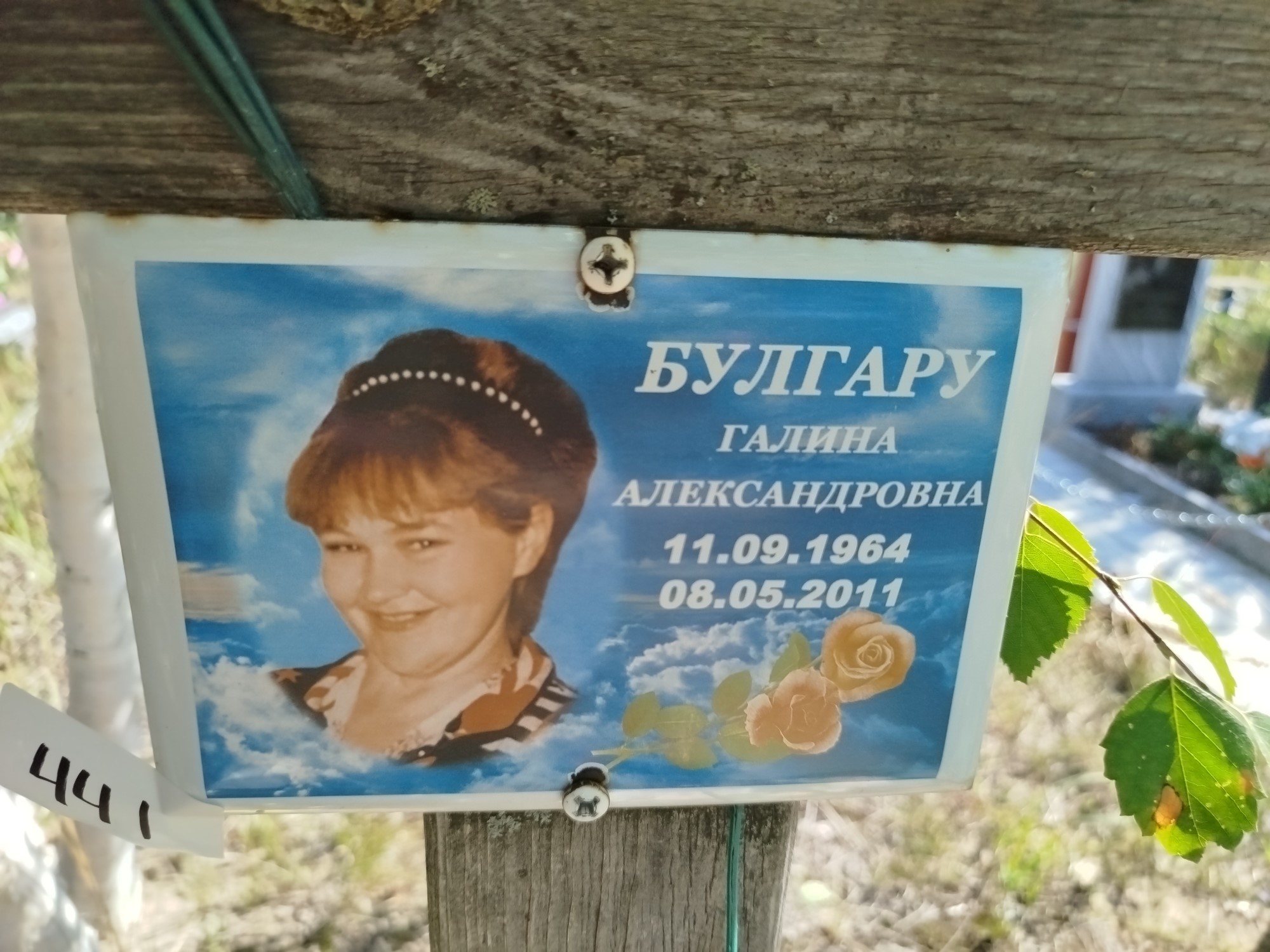 Булгару Галина Александровна