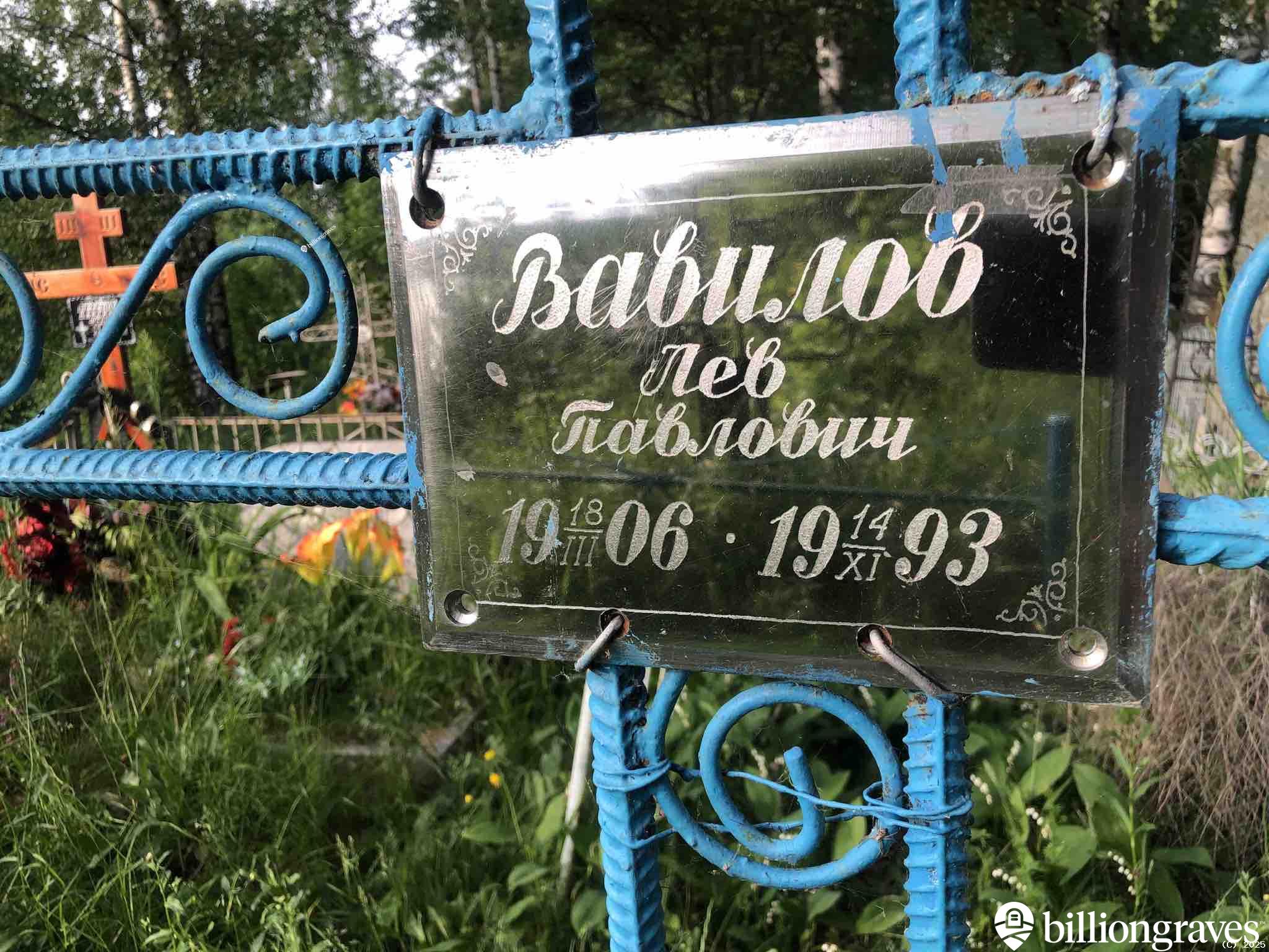 Вавилова Мария Александровна