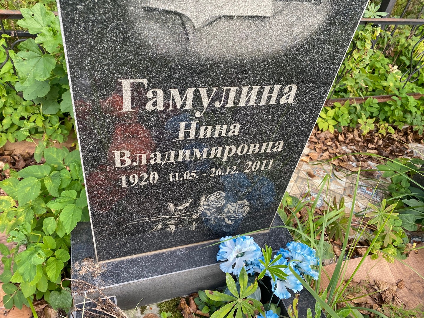 Гамулина