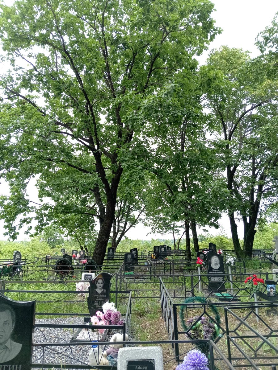 Адаев Сергей Георгиевич
