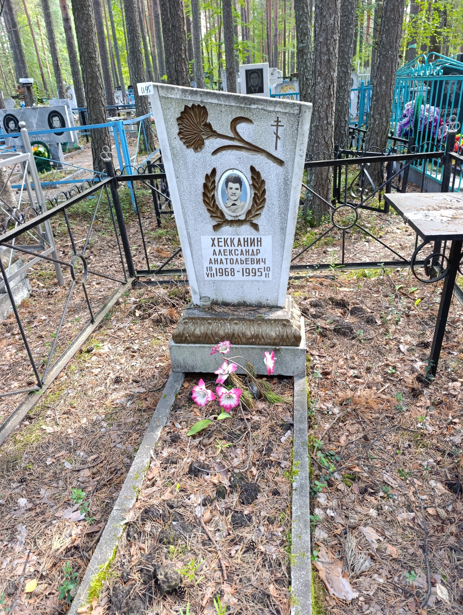Хекканин Александр Анатольевич