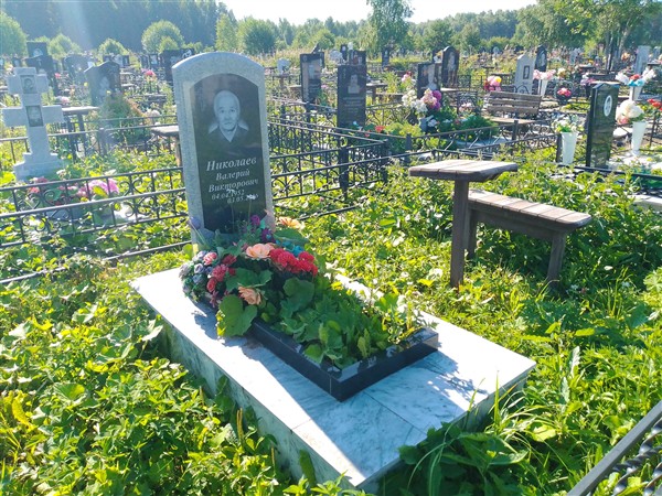 Николаев Валерий Викторович