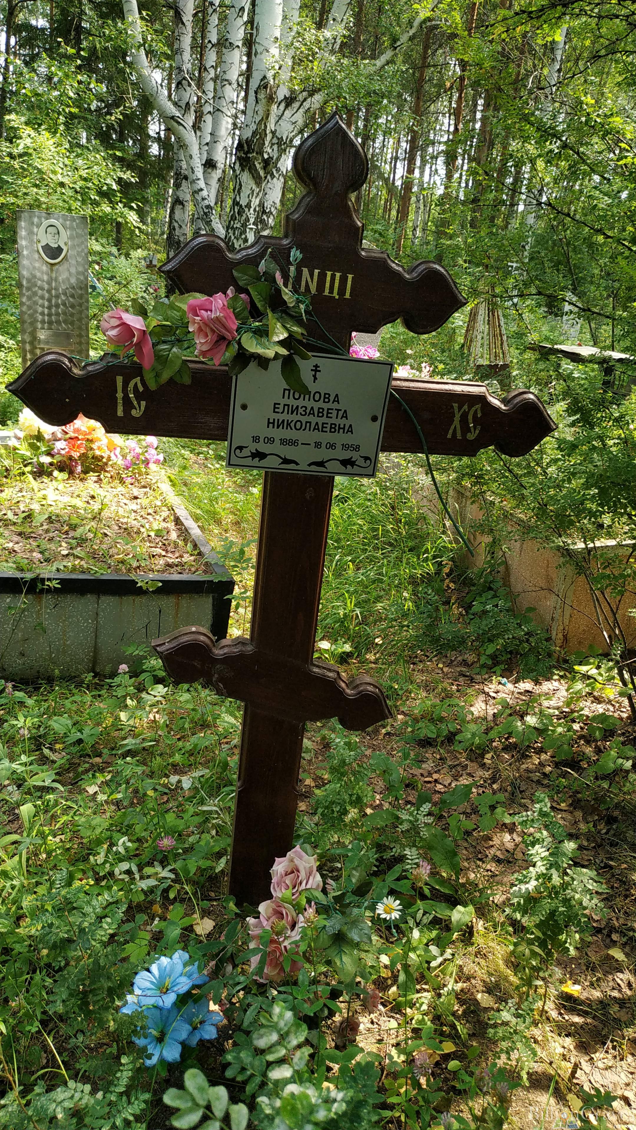 Попова Елизавета Николаевна