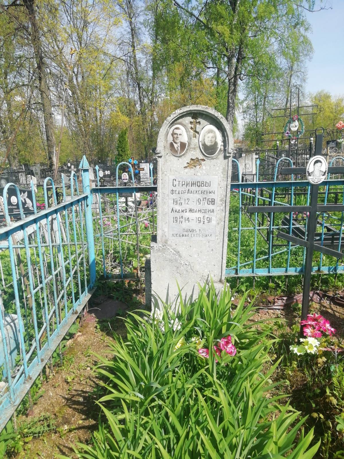 Стрижов Федор Алексеевич