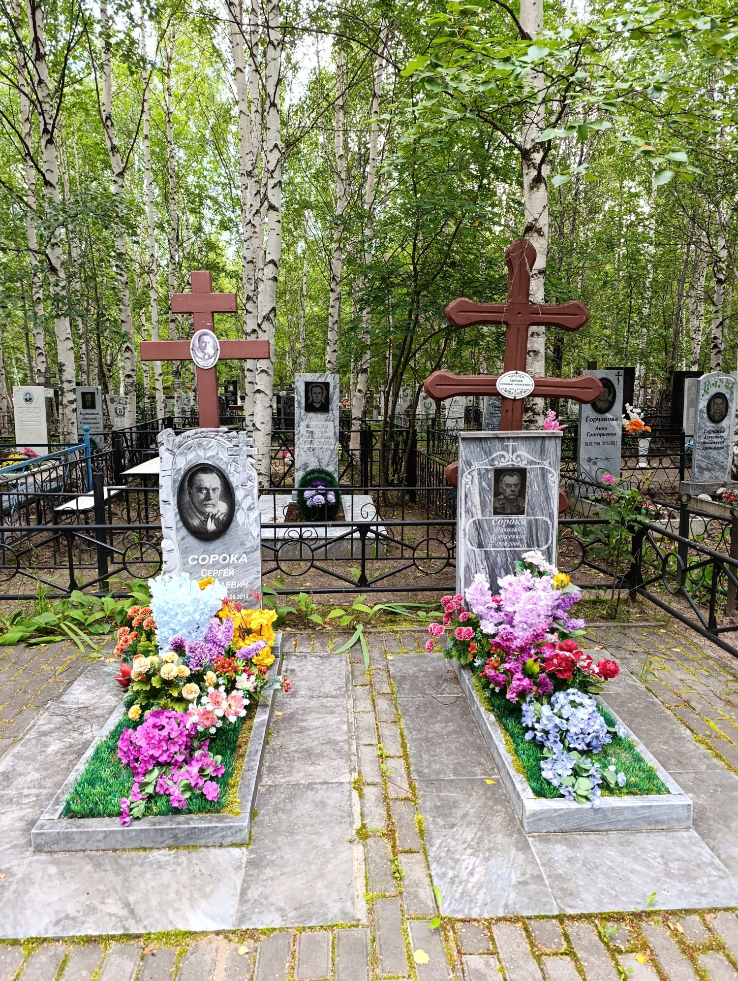 Сорока Сергей Николаевич