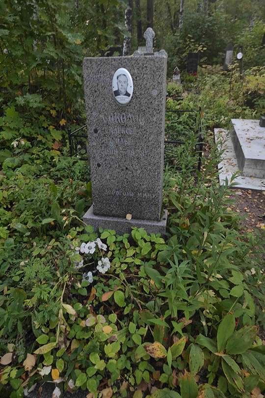 Соколов Алексей Васильевич