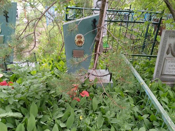 Хряпко Лидия Васильевна