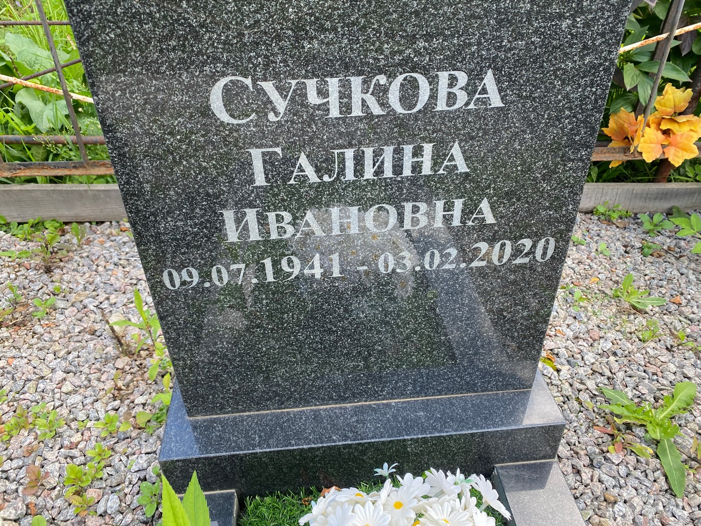 Сучкова