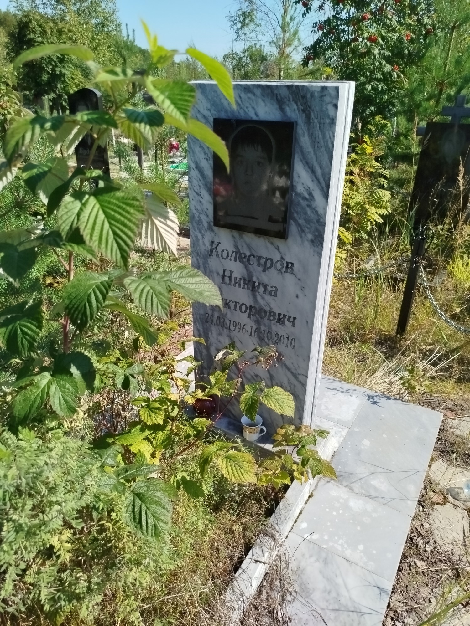 Колестров Никита Викторович