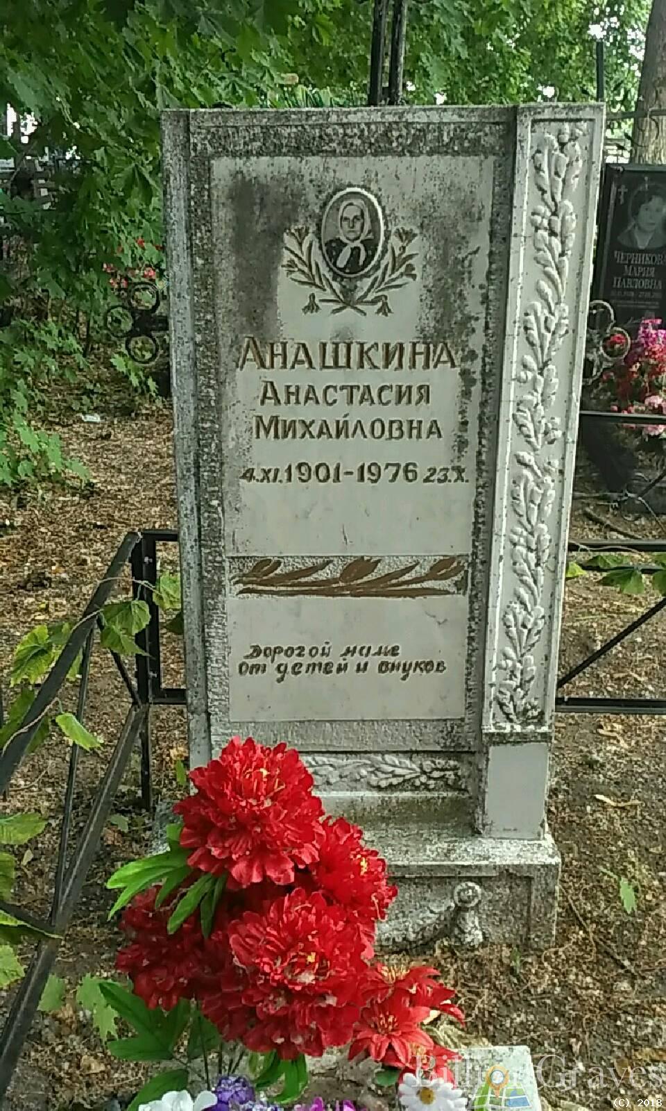 Анашкина Анастасия Михайловна