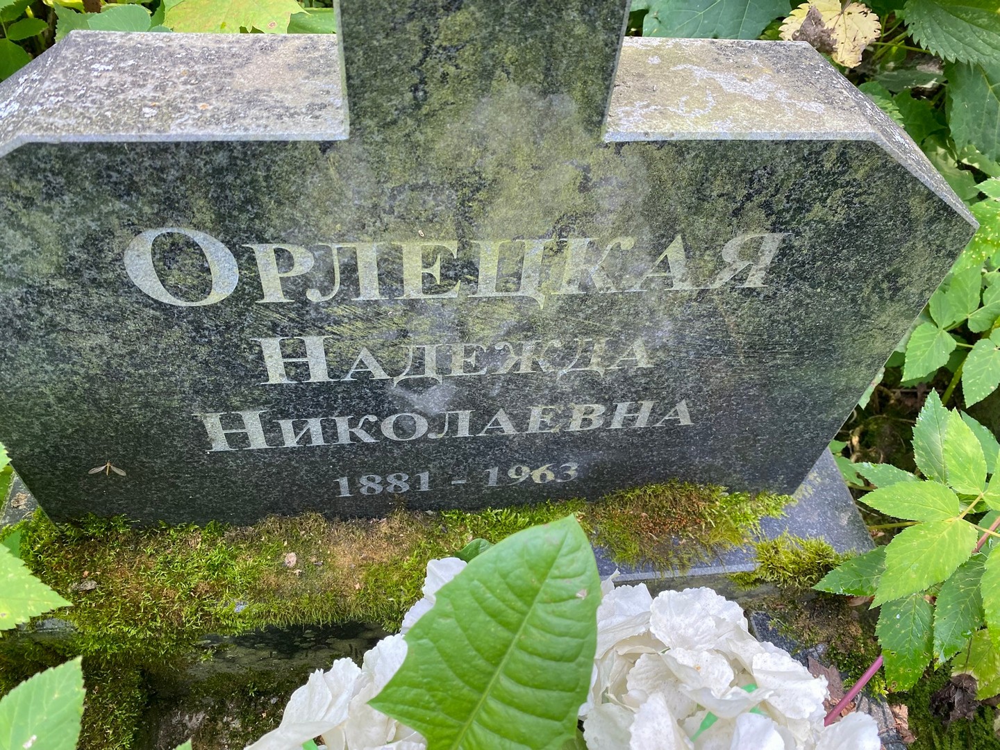 Орлецкая