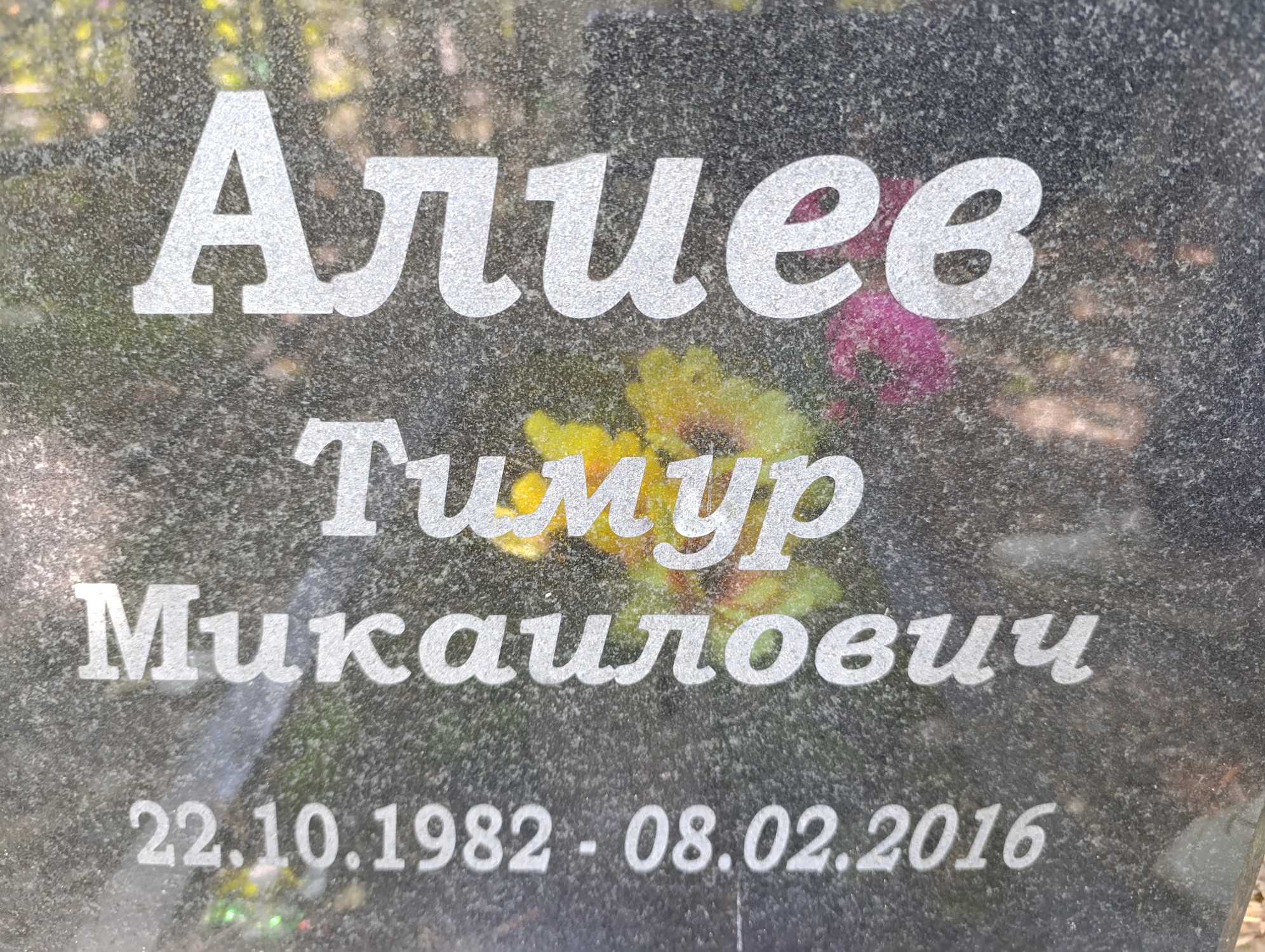 Алиев Тимур Микаилович