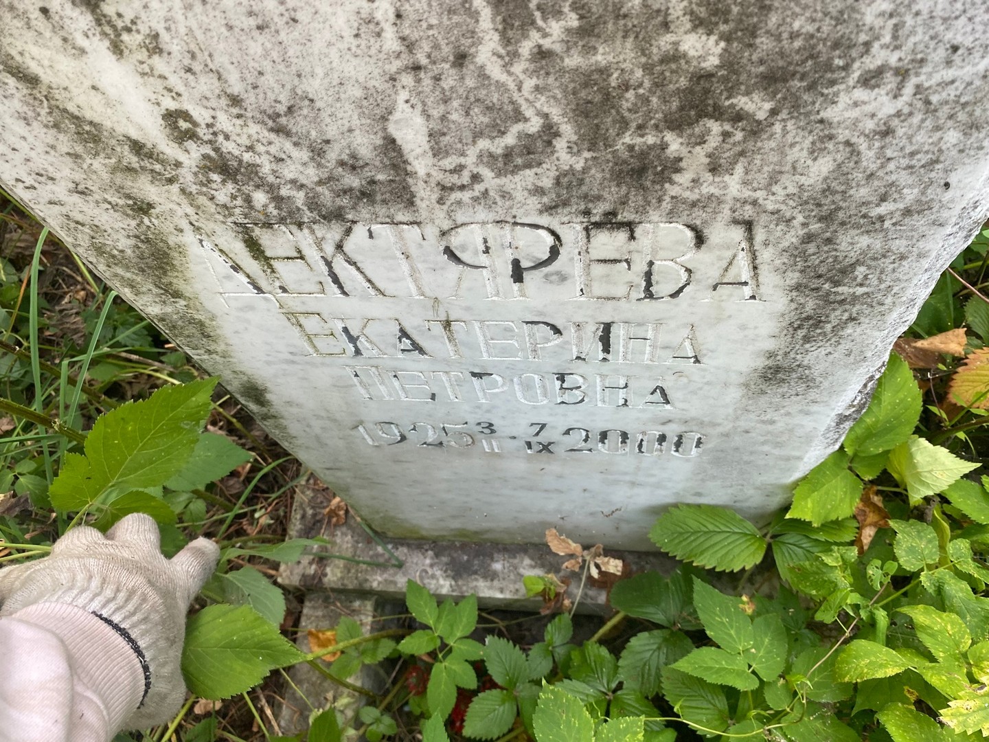 Дектярева