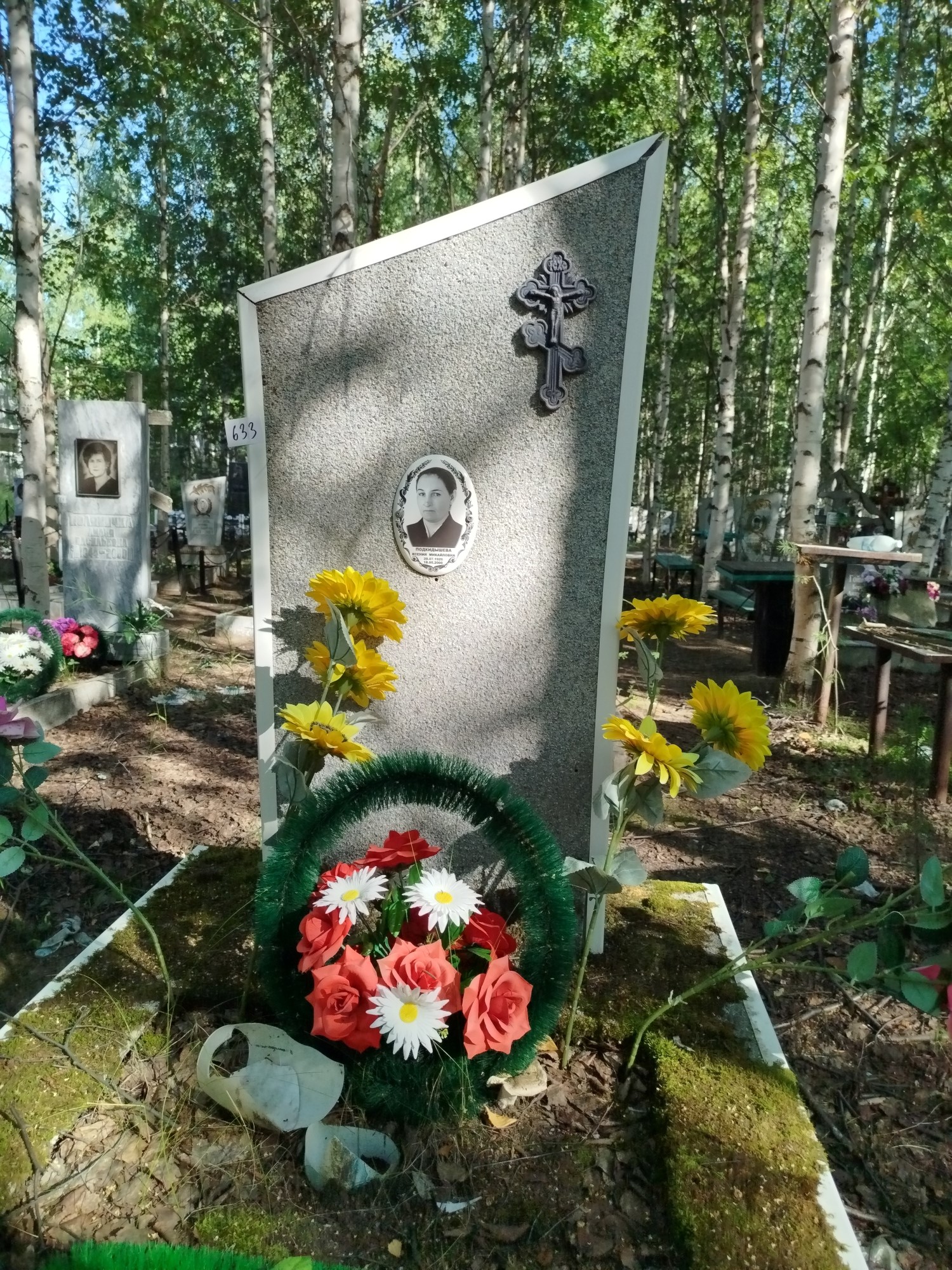 Подкидышева Ксения Михайловна