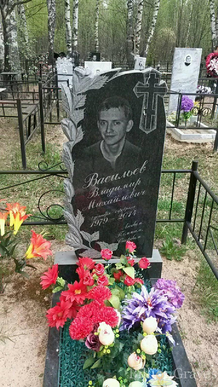 васильев владимир михайлович