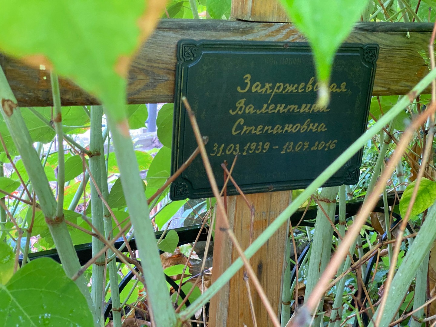 Закржевская