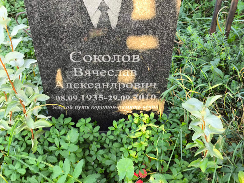 Соколов