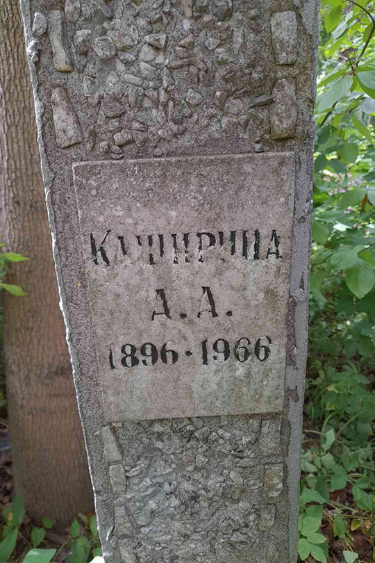 Чижов П. И.
