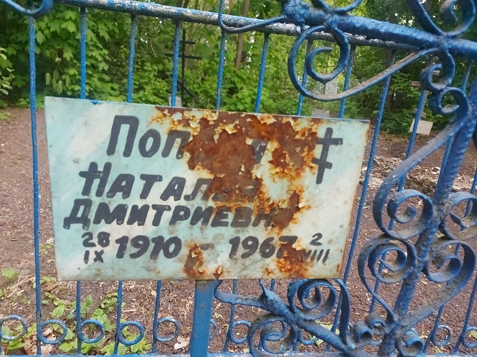 Поп Наталья Дмитриевна