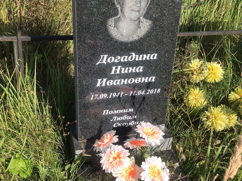 Догадина