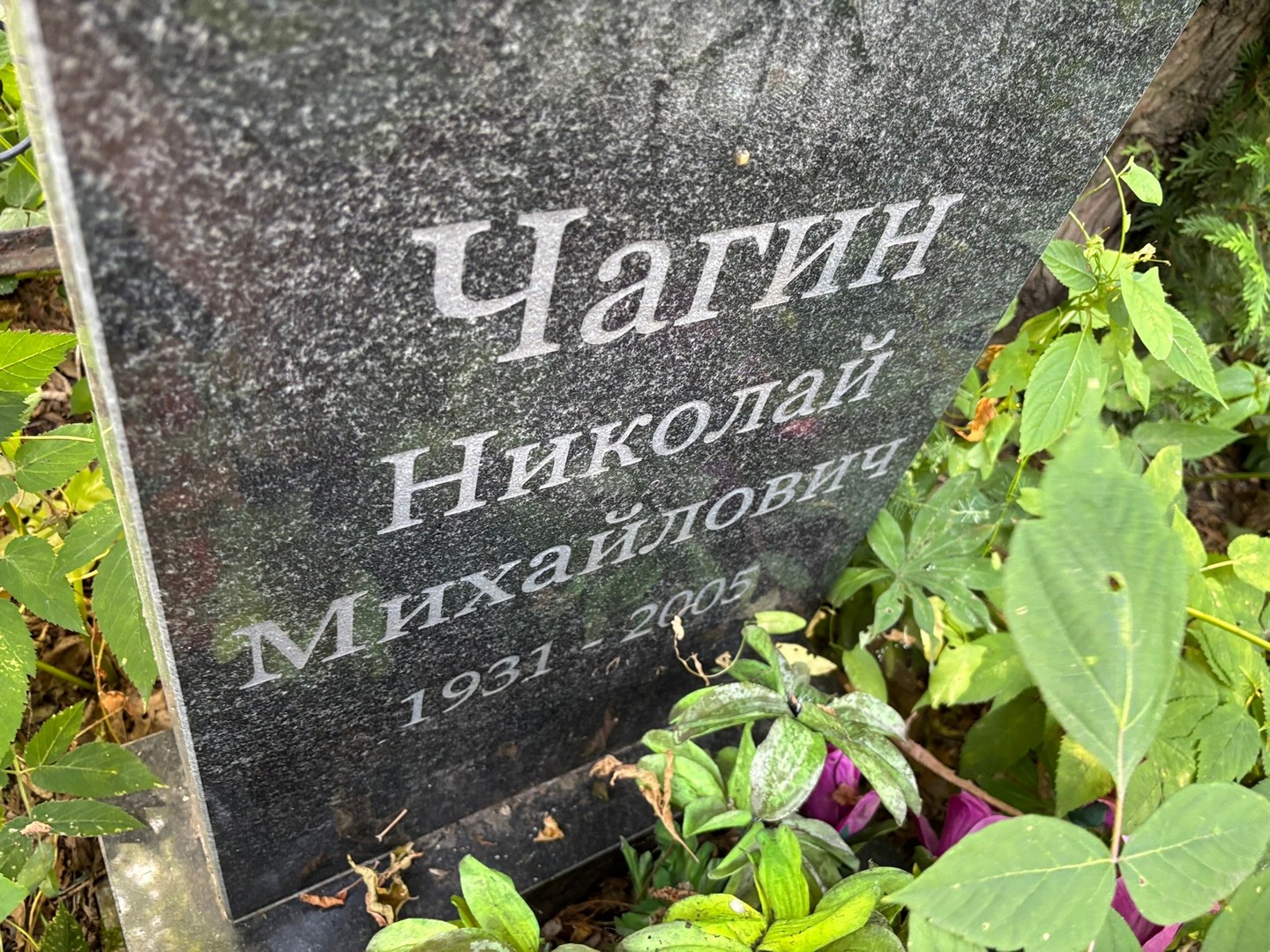 Чагин