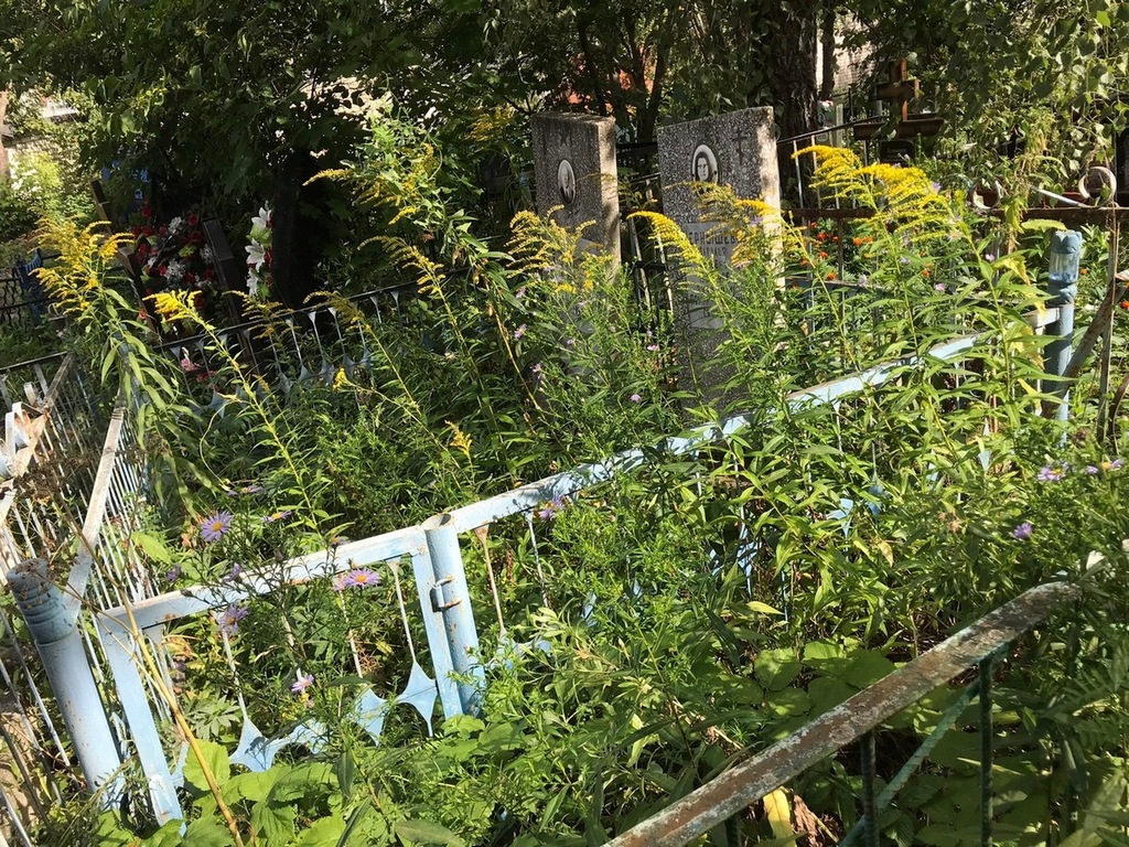 Чернышева Наталья Львовна
