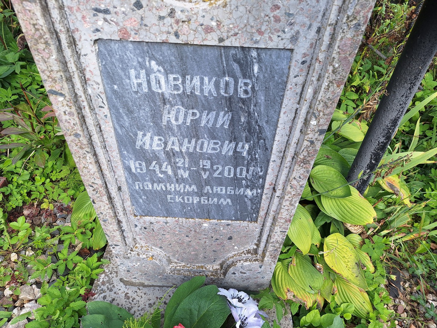 Новиков