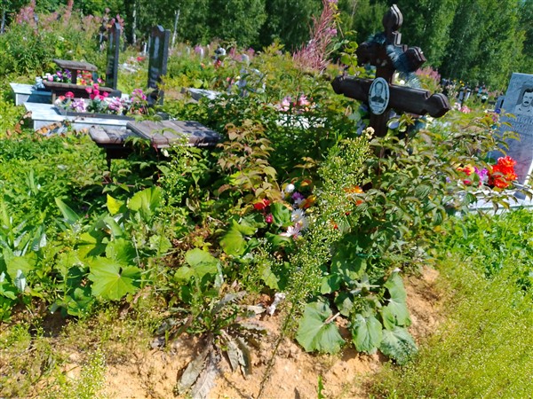 Онохин Сергей Иванович