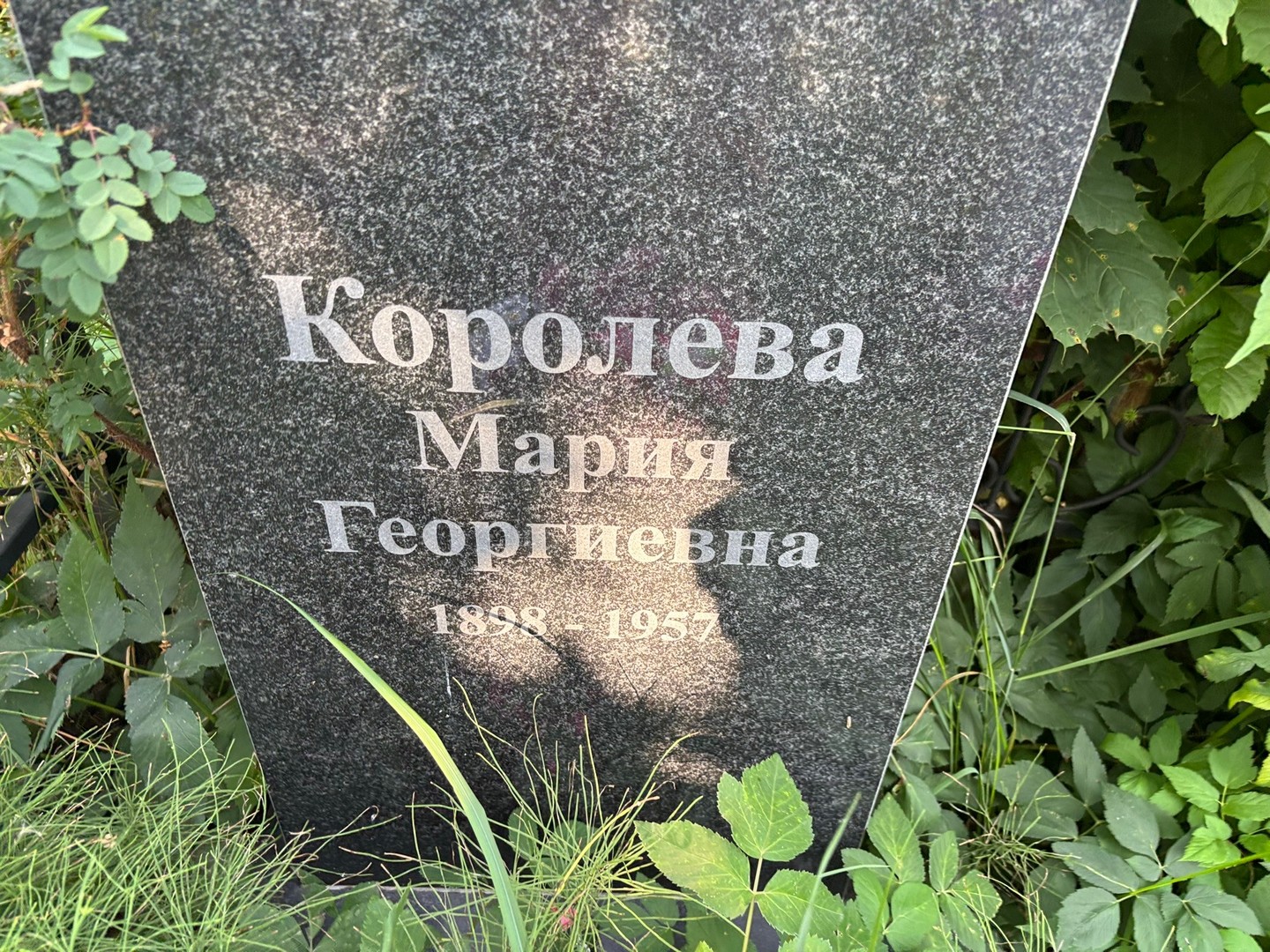 Королева