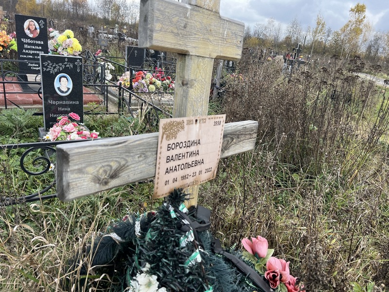 Борзодина