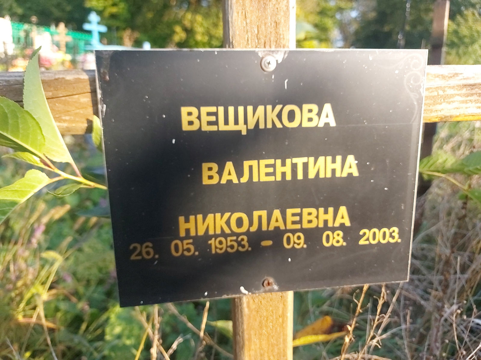 Вещикова Валентина Николаевна